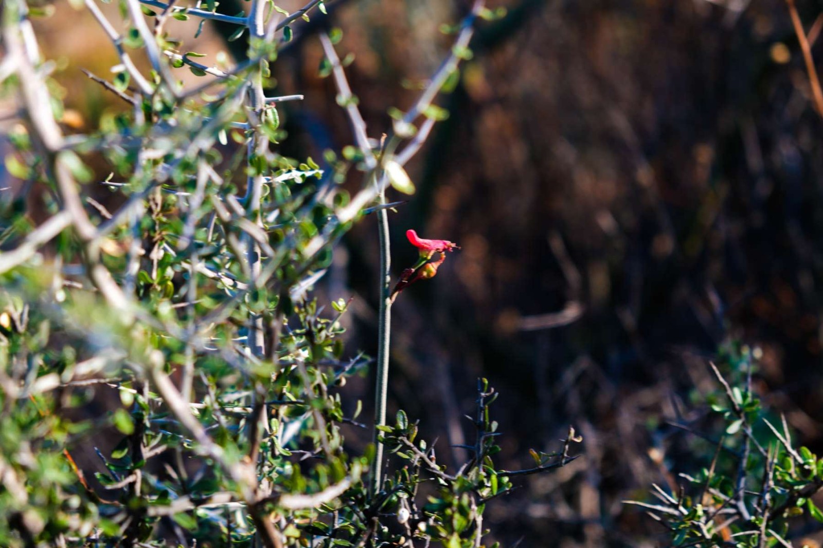 Documentary travel photograph from Mexico by Mattia Compagnucci