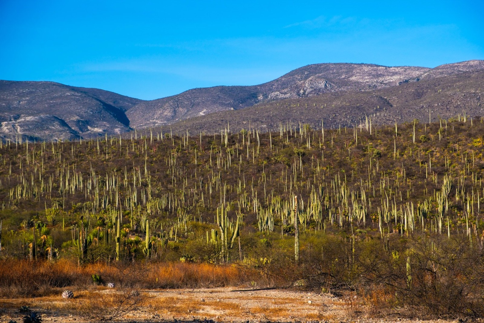 Documentary travel photograph from Mexico by Mattia Compagnucci