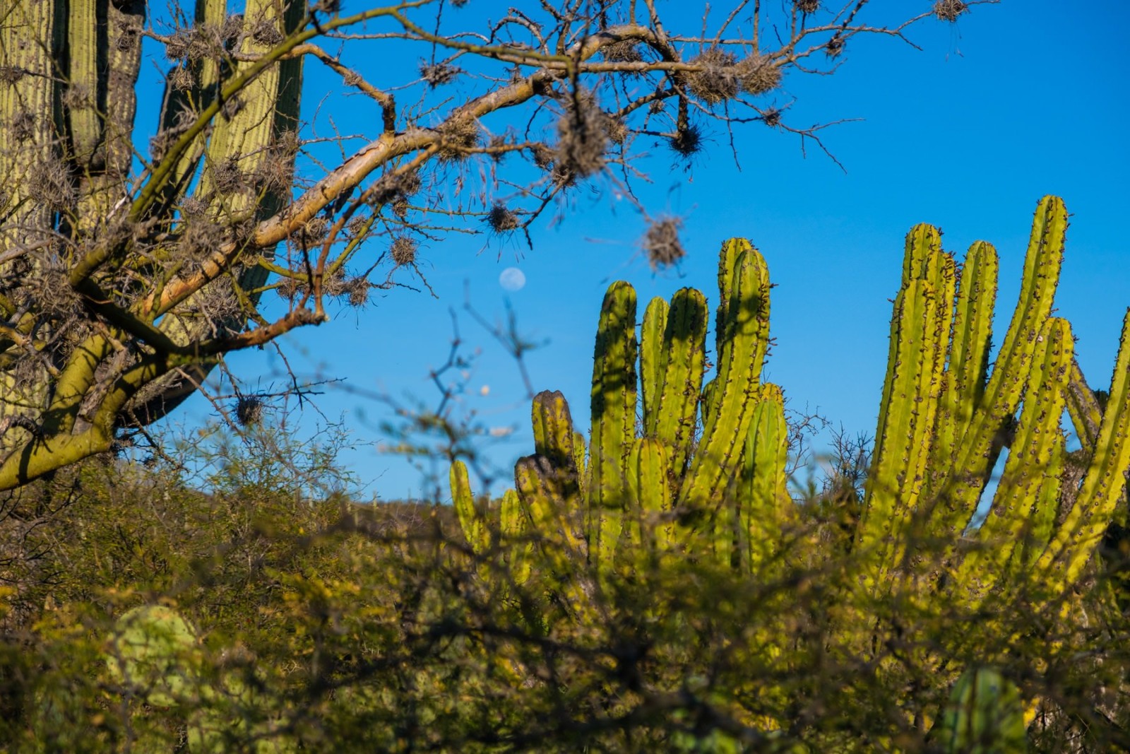 Documentary travel photograph from Mexico by Mattia Compagnucci