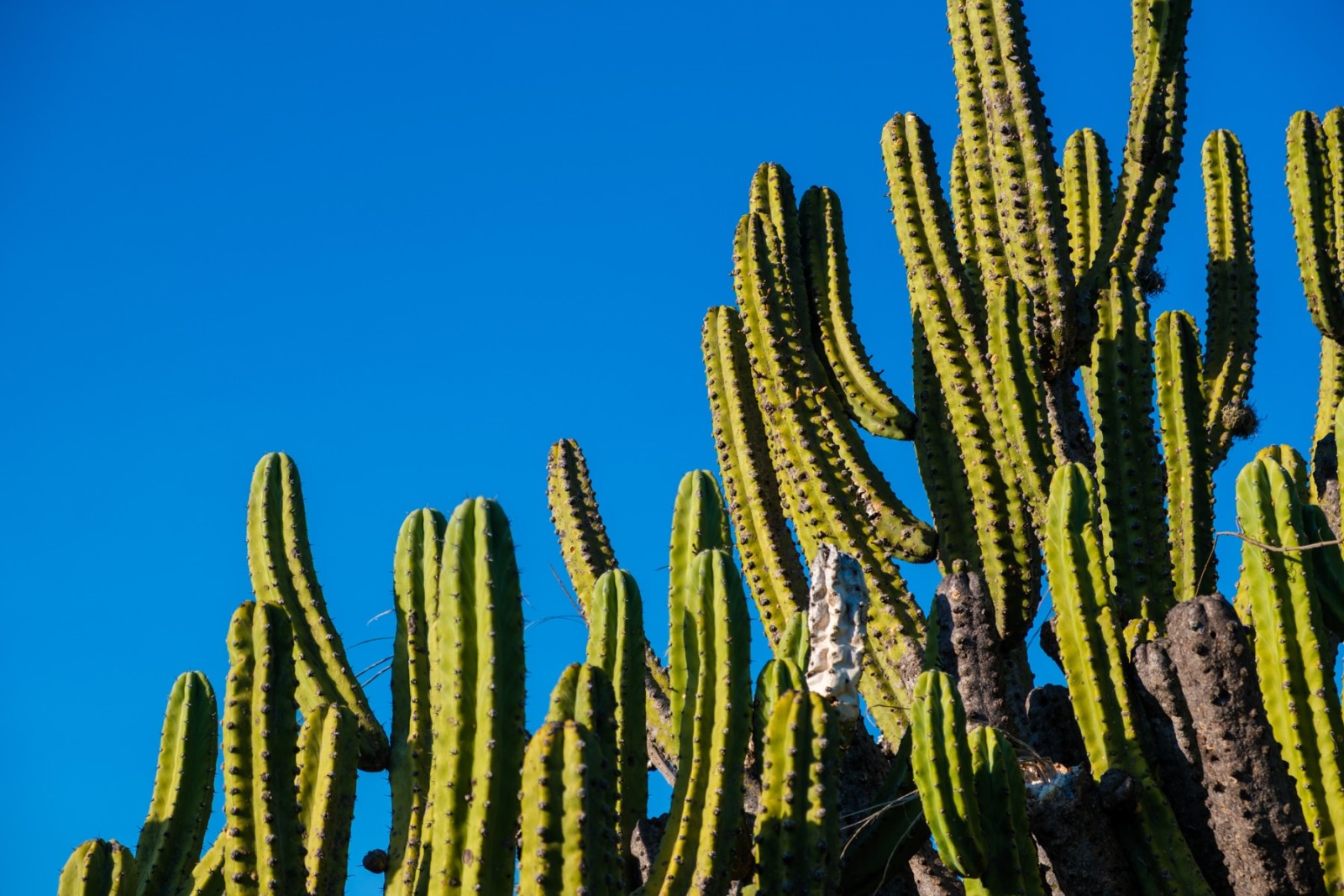 Documentary travel photograph from Mexico by Mattia Compagnucci