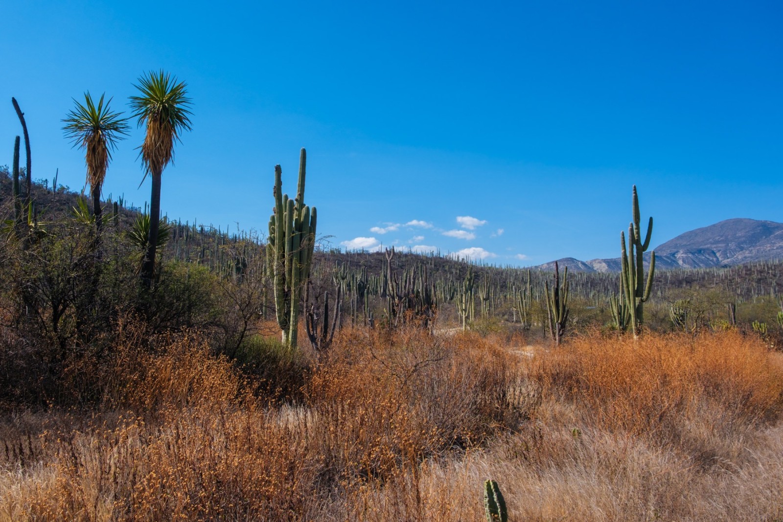 Documentary travel photograph from Mexico by Mattia Compagnucci