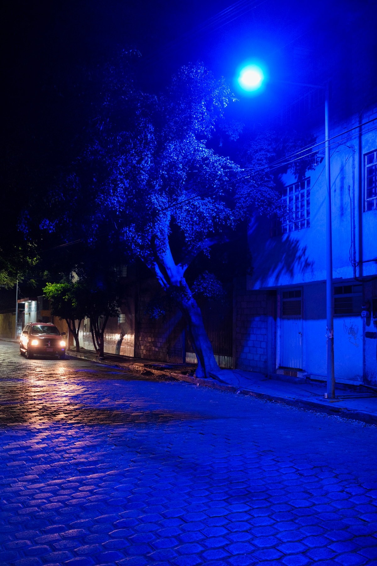 Documentary travel photograph from Mexico by Mattia Compagnucci