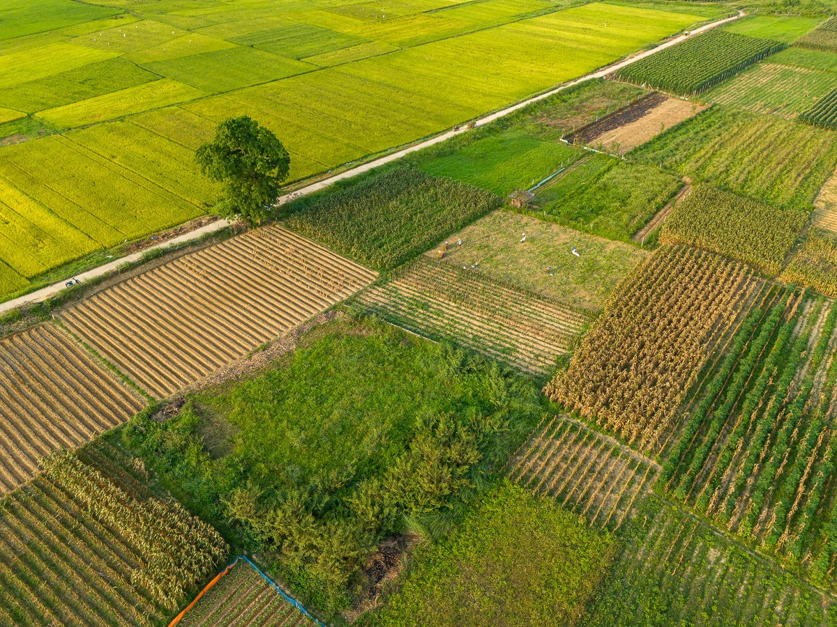 Documentary travel photograph from Vietnam by Mattia Compagnucci