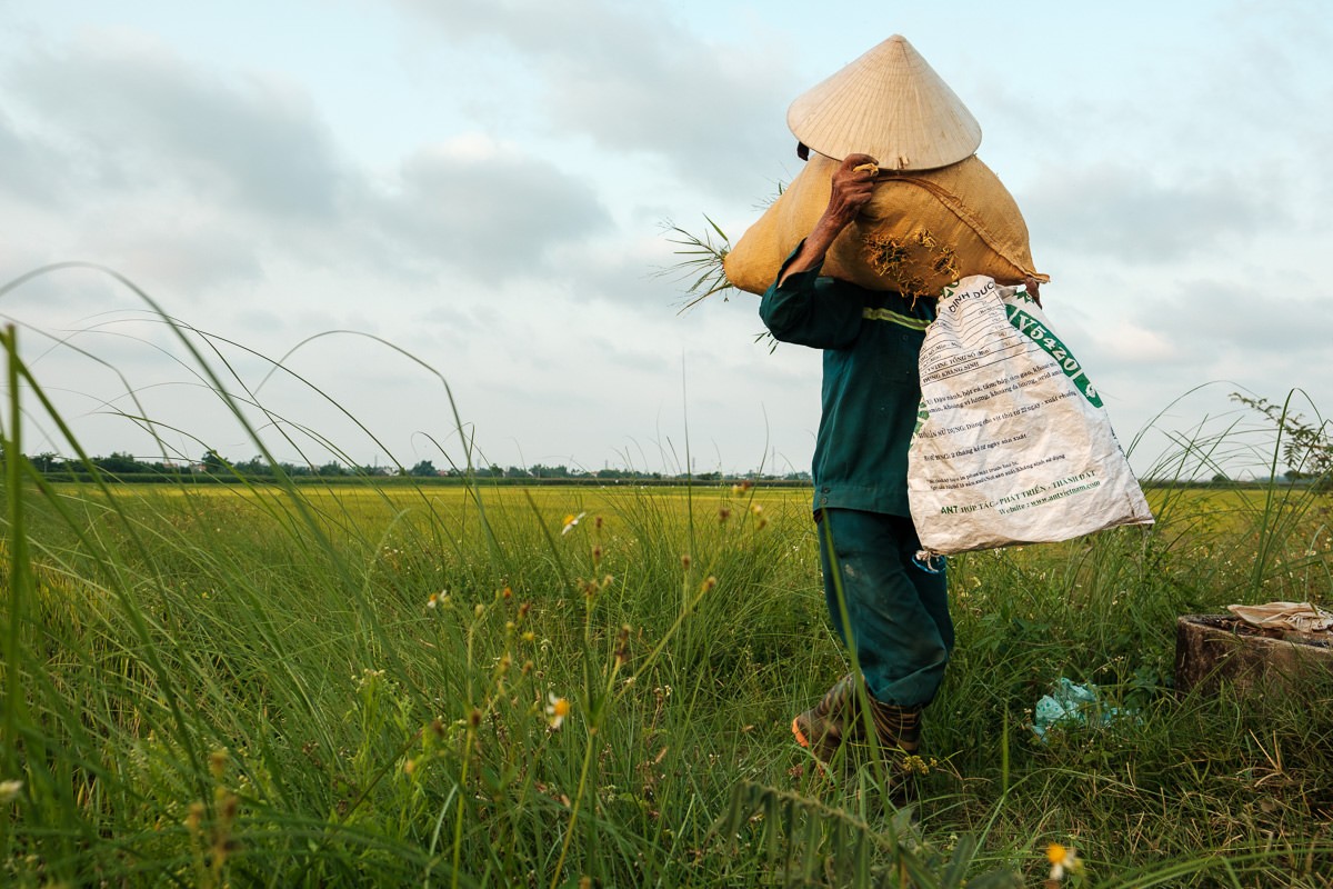 Documentary travel photograph from Vietnam by Mattia Compagnucci
