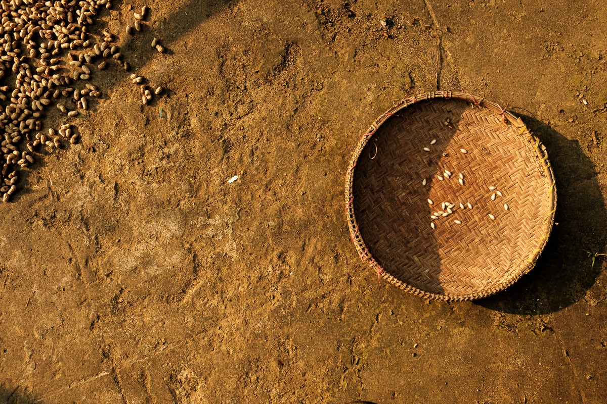Documentary travel photograph from Vietnam by Mattia Compagnucci