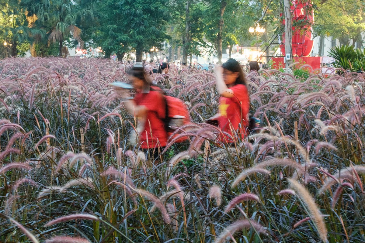 Documentary travel photograph from Vietnam by Mattia Compagnucci